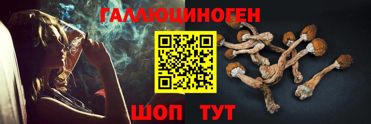 Псилоцибиновые грибы прущие грибы  Вход с VPN  Керчь 